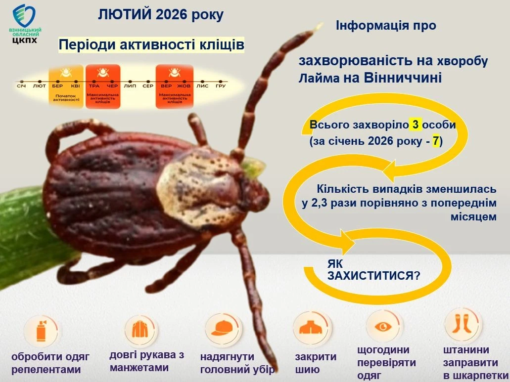 Кліщовий бореліоз у міжсезоння: на Вінниччині зареєстрували перші випадки хвороби Лайма