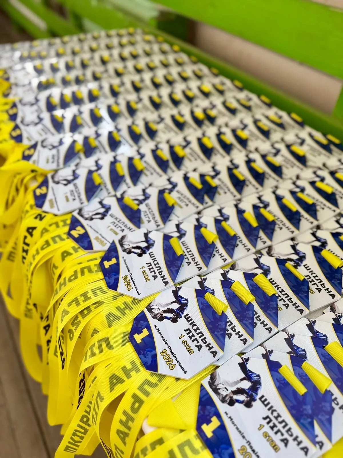 Юні дзюдоїсти Вінниччини розпочали шкільну лігу «ГУРток сміливих»