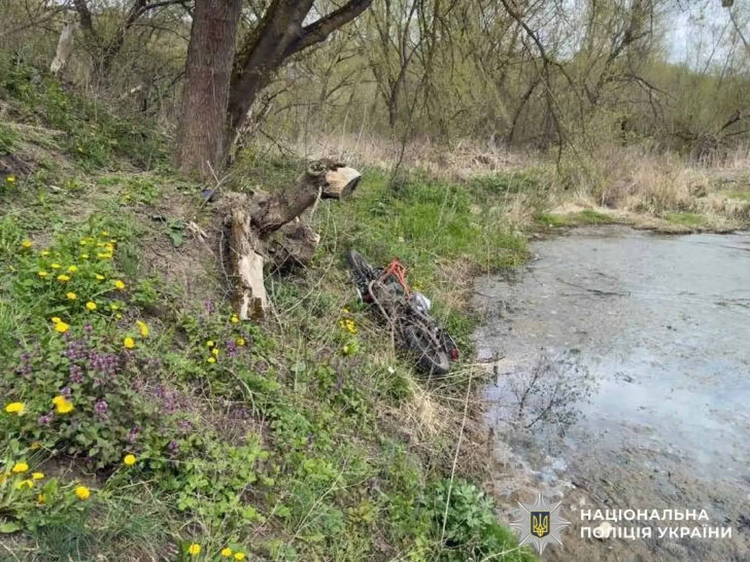 Трагічна ДТП у Вінницькому районі: мотоцикліст не вижив після зіткнення з деревом