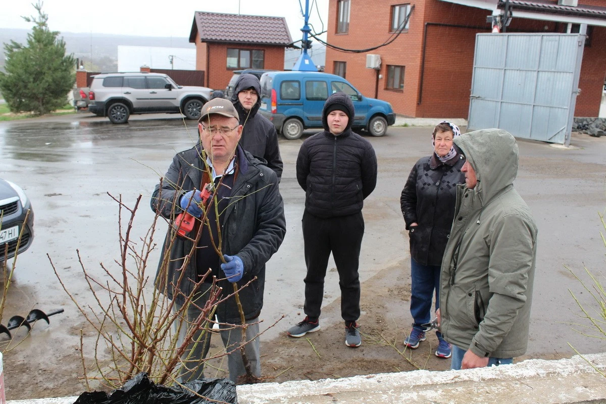 У Вінницькій області виноградники закладають із природним захистом із фундука та мигдалю