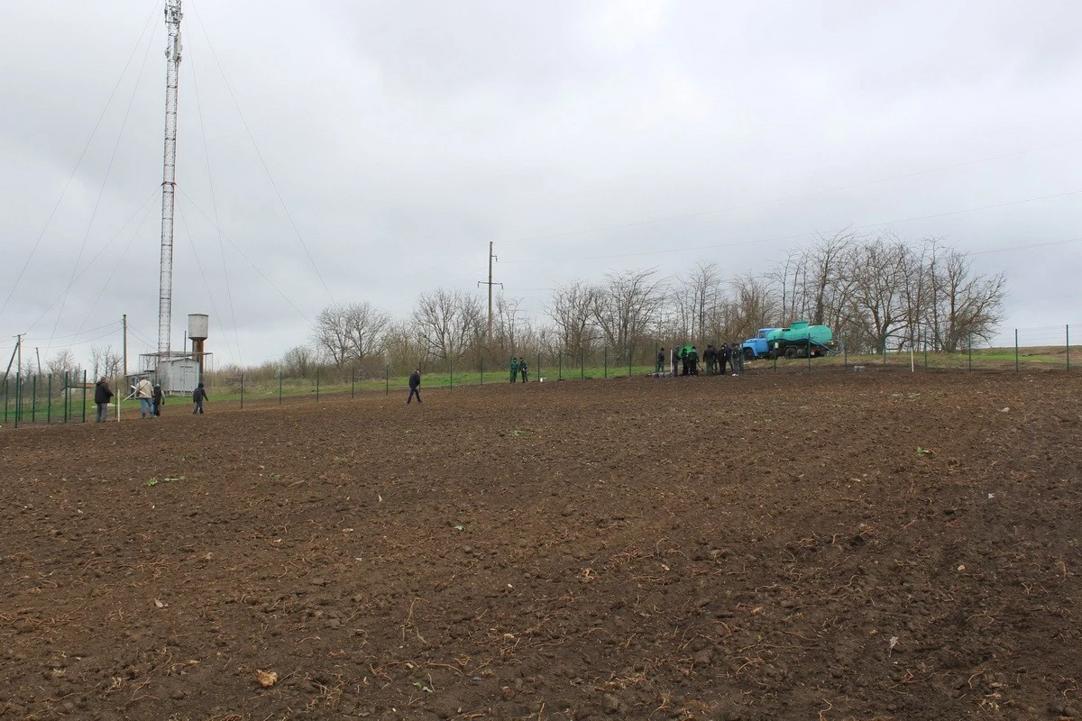 У Вінницькій області виноградники закладають із природним захистом із фундука та мигдалю