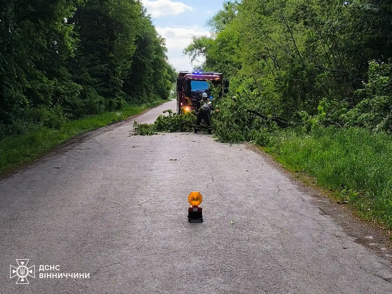 Негода на Вінниччині: ДСНС розчищала автошляхи від повалених дерев
