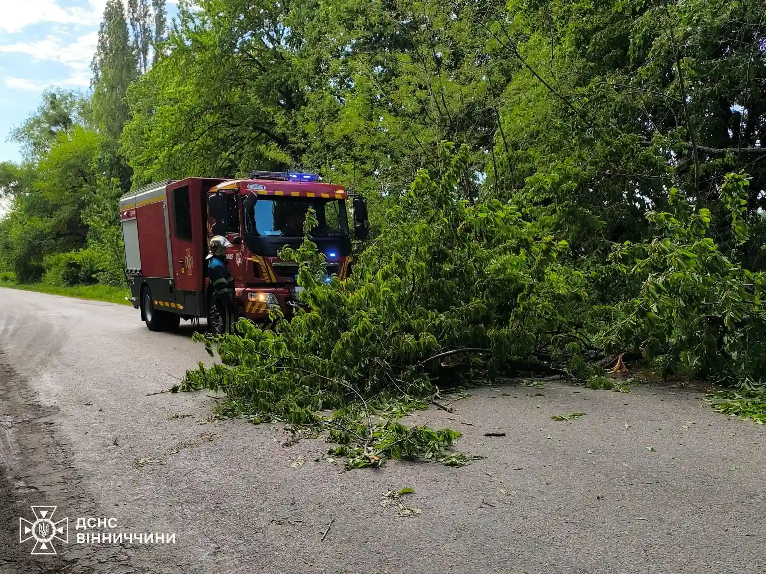 Негода на Вінниччині: ДСНС розчищала автошляхи від повалених дерев