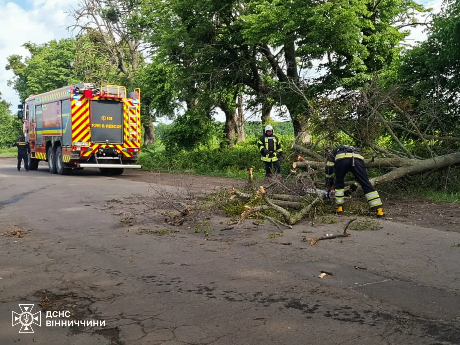 Негода на Вінниччині: ДСНС розчищала автошляхи від повалених дерев