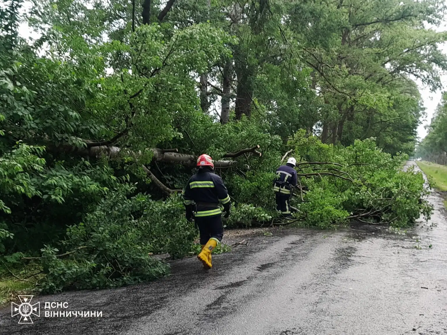 Наслідки негоди на Вінниччині: рятувальники оперативно розчищають шляхи та відкачують воду