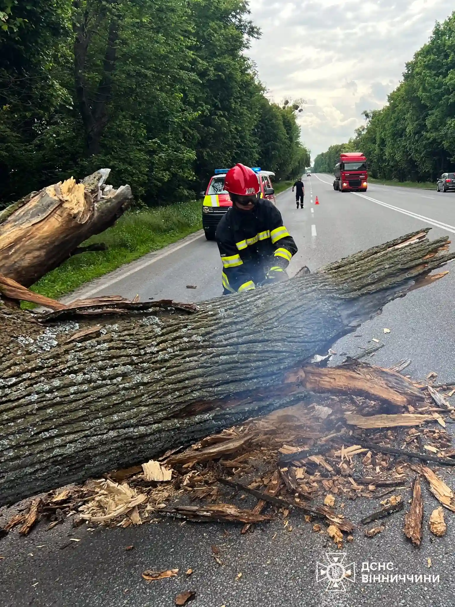 Наслідки негоди на Вінниччині: рятувальники оперативно розчищають шляхи та відкачують воду
